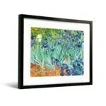 梵谷《鳶尾花》（不含框）