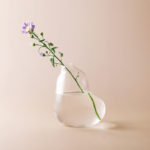 BUBBLE擴香花器-Liberal:圖片 2